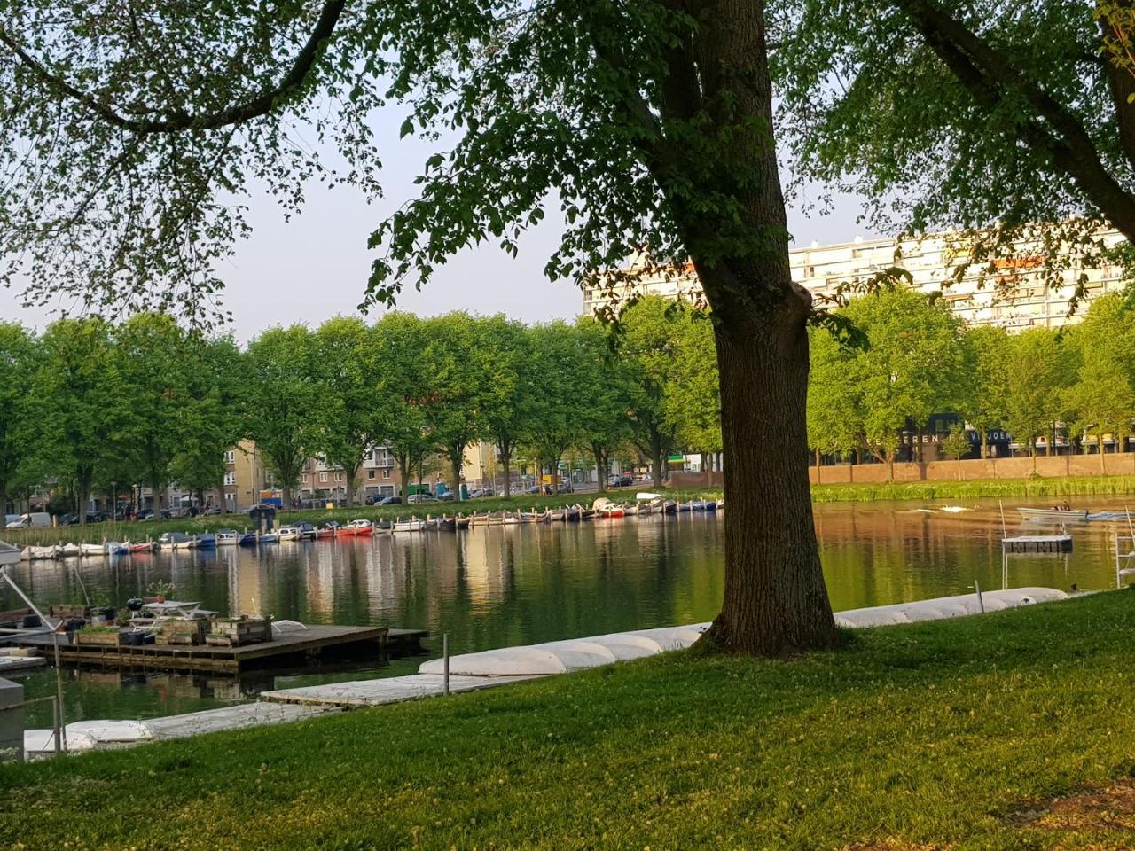 Mi Bnb Amsterdam Extérieur photo